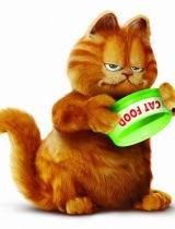 加菲最新爆料视频播放,娱乐圈幕后真相大曝光！